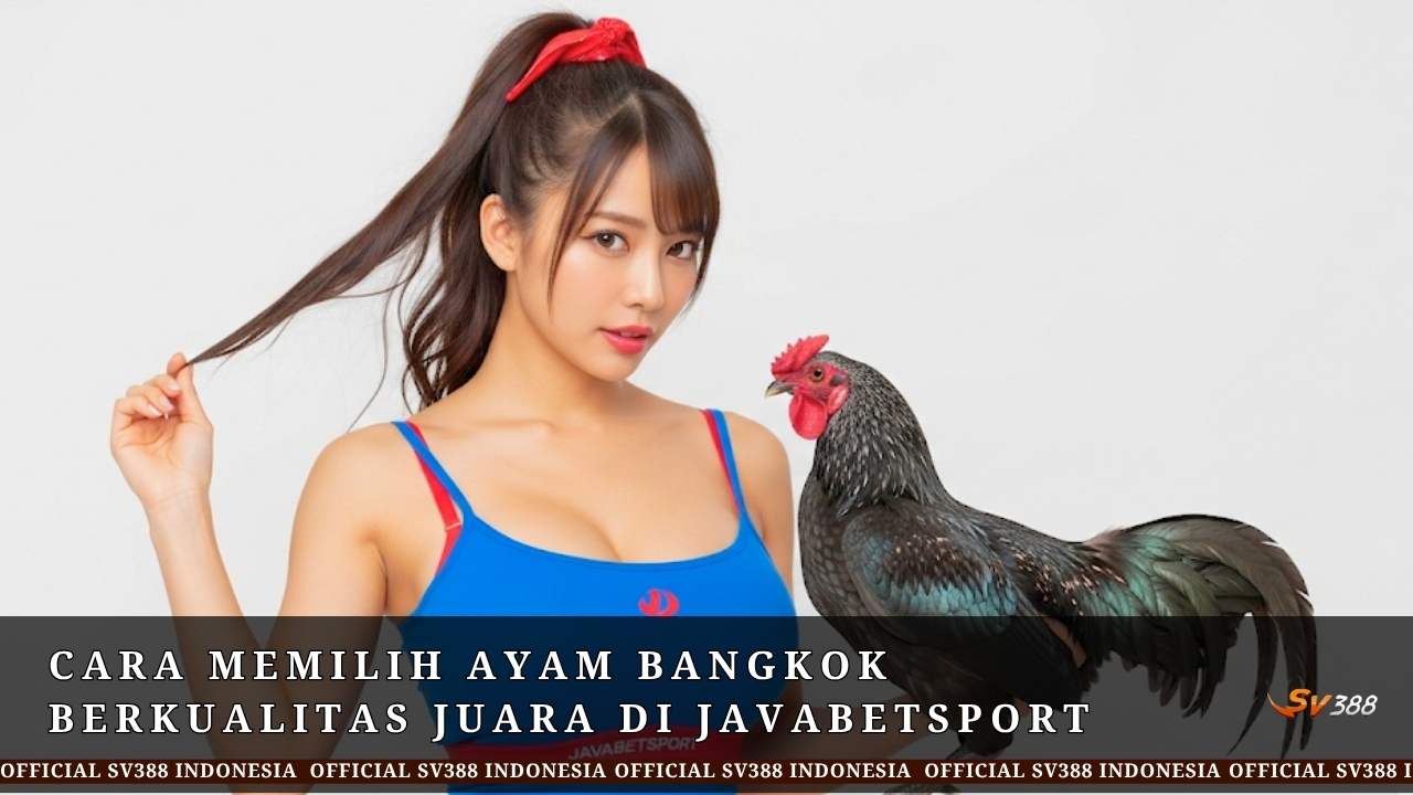 Cara Memilih Ayam Bangkok Berkualitas Juara di Javabetsport
